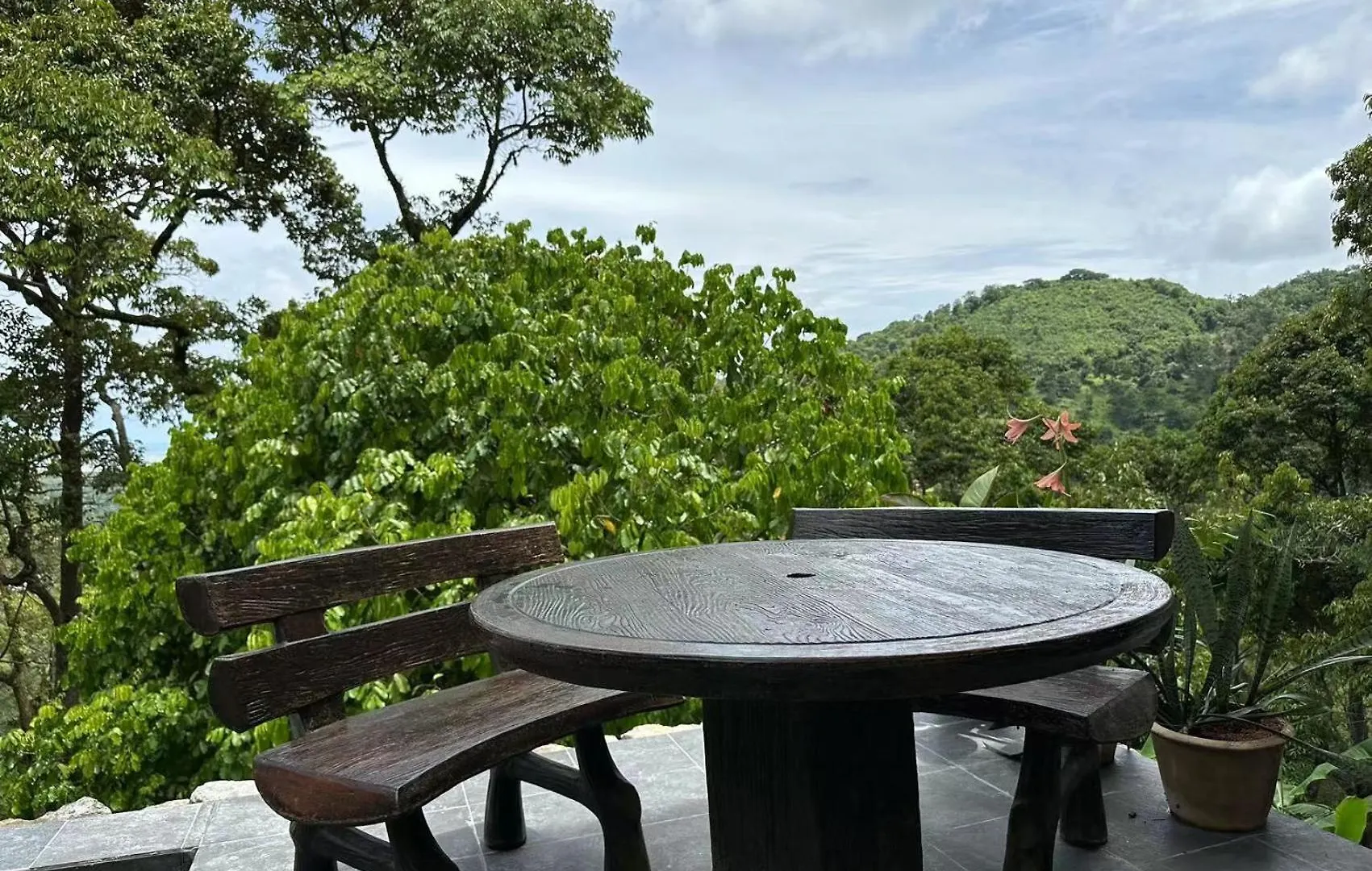 Farm stay Bao Sheng Durian Farm Hotel Balik Pulau Malaysia