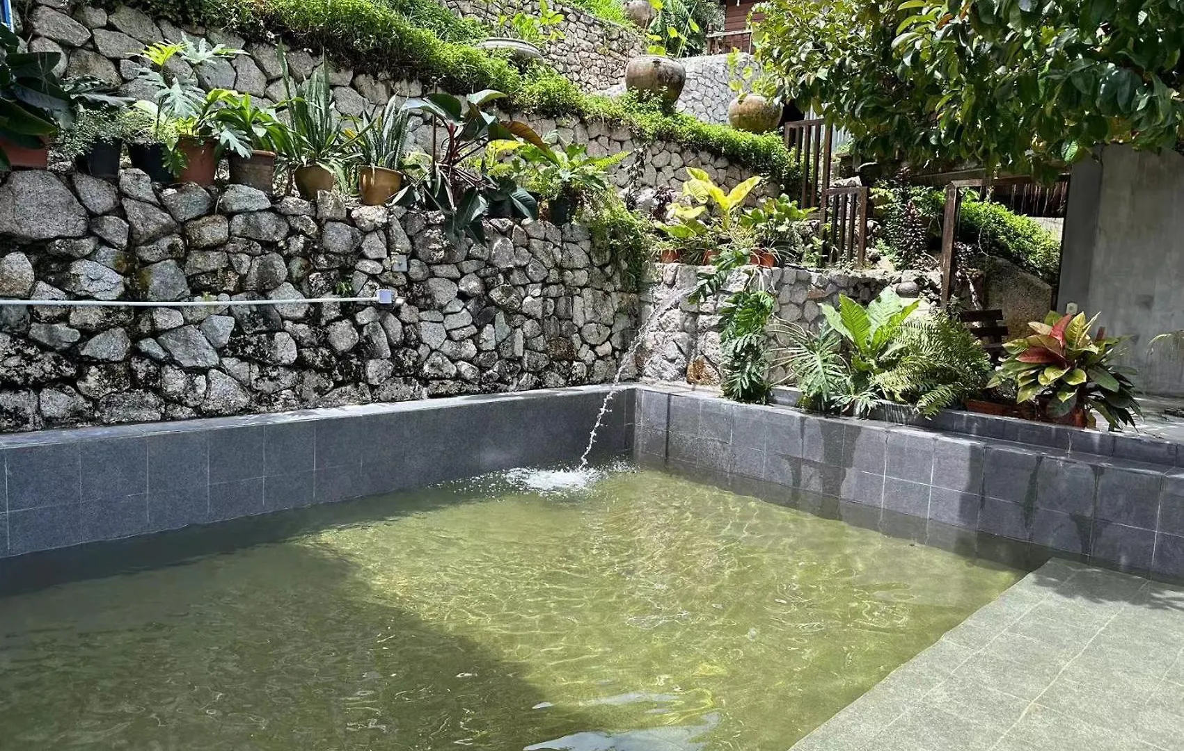 Villa Bao Sheng Durian Farm Balik Pulau Malasia