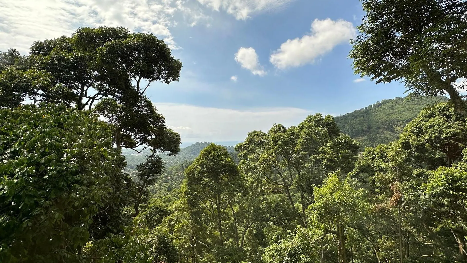Bao Sheng Durian Farm Hotel Balik Pulau 0*,  Malaysia
