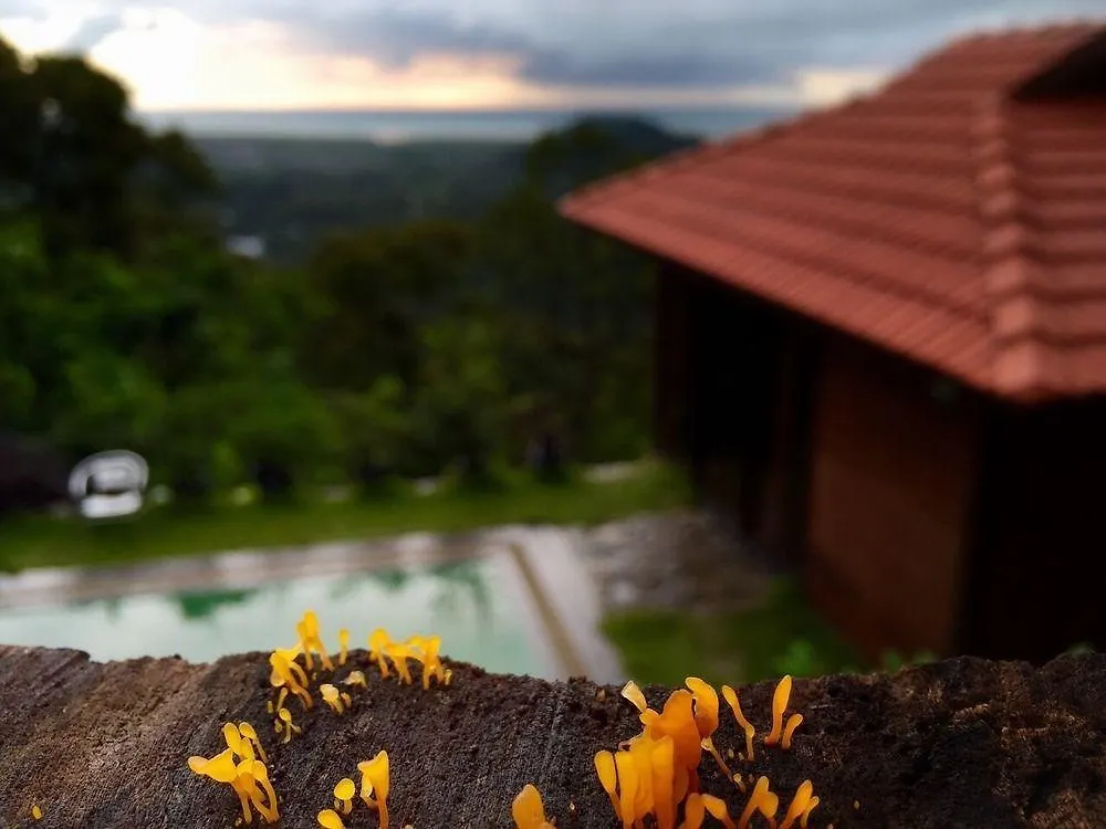 Bao Sheng Durian Farm Hotel Balik Pulau